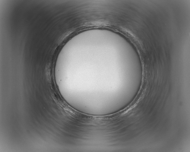 X0000071911162200607070938