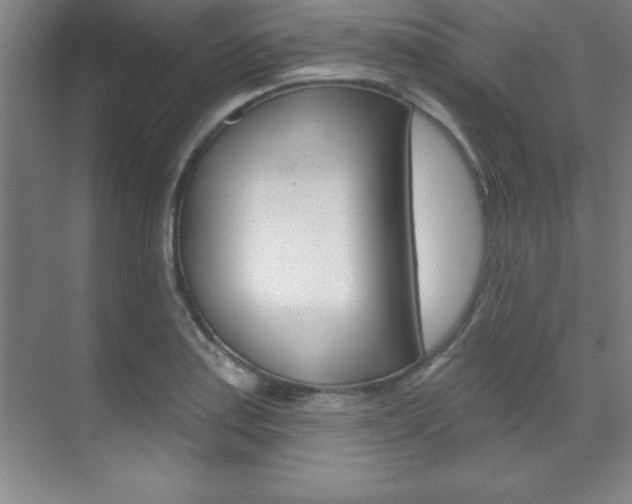 X0000071911179200607070937