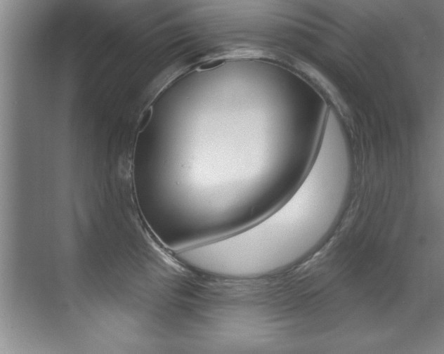 X0000071911193200607070937