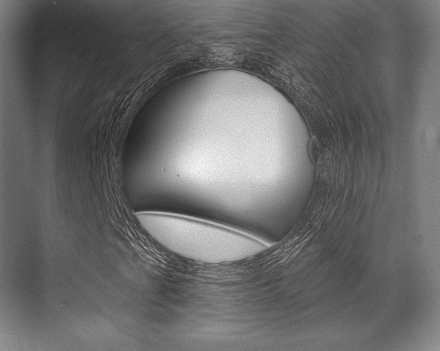 X0000071911201200607070936