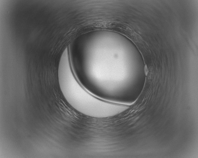 X0000071911202200607070936