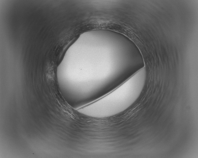 X0000071911204200607070936