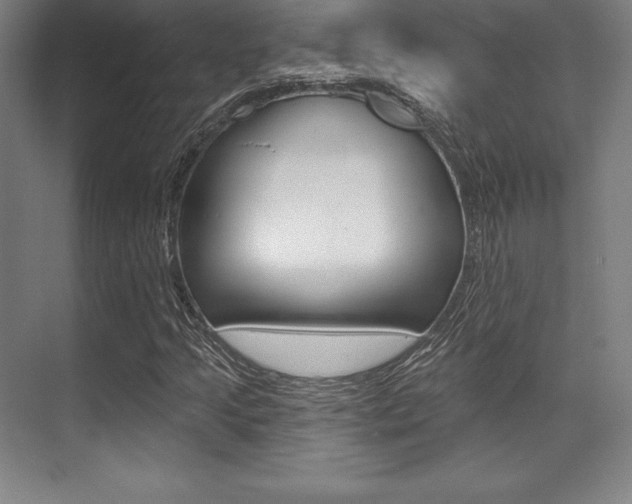 X0000071911205200607070936