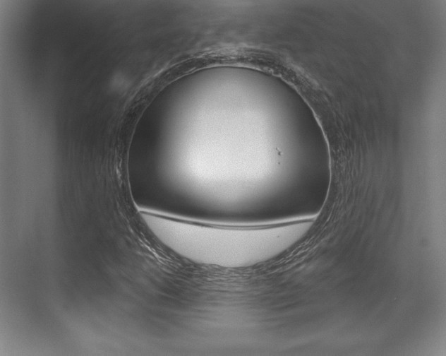 X0000071911206200607070936