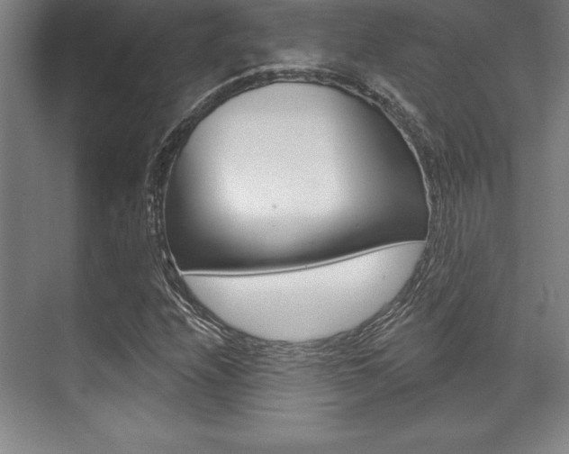 X0000071911208200607070936