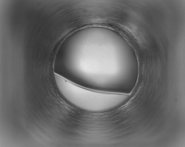 X0000071911209200607070936