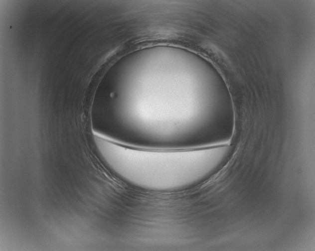 X0000071911210200607070936
