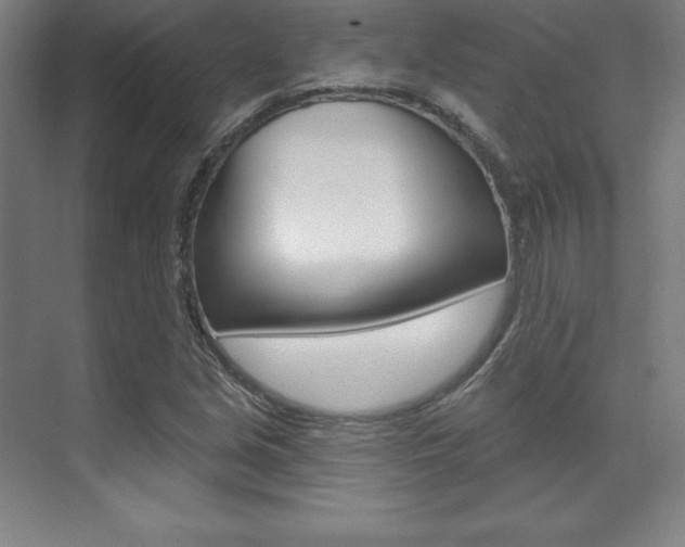X0000071911213200607070936
