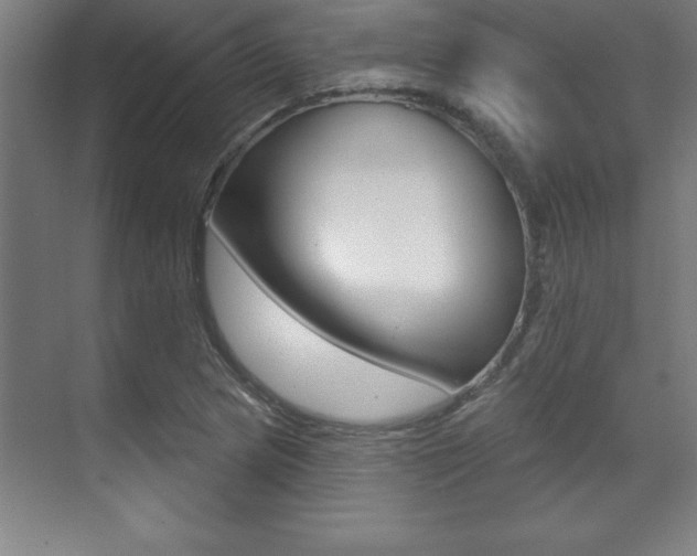 X0000071911217200607070936
