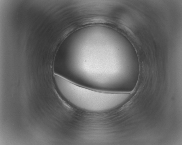 X0000071911225200607070936