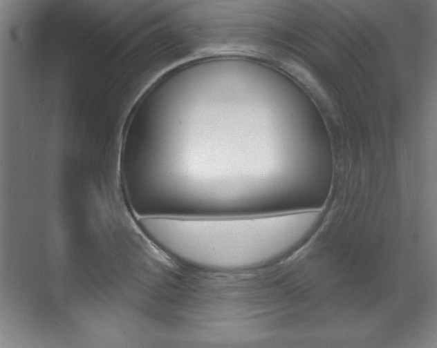 X0000071911228200607070937