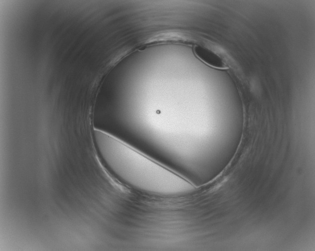 X0000071911233200607070937