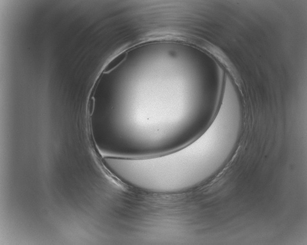 X0000071911242200607070937
