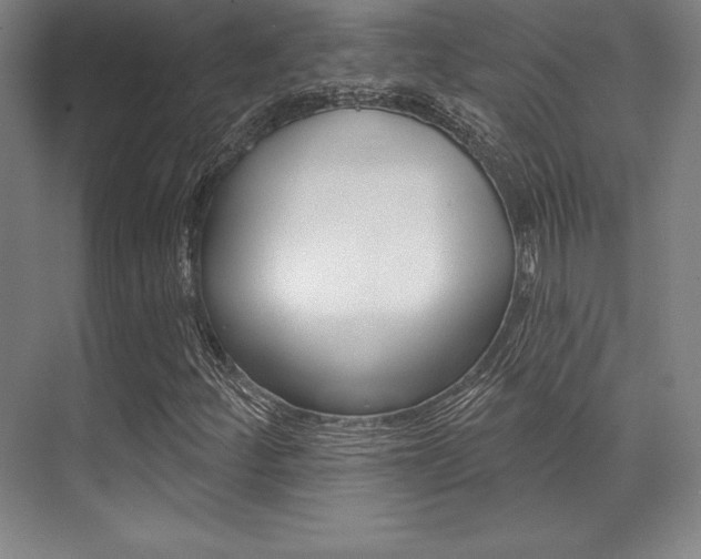 X0000071911252200607070936