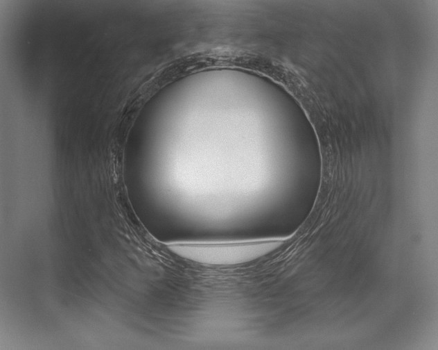 X0000071911253200607070936