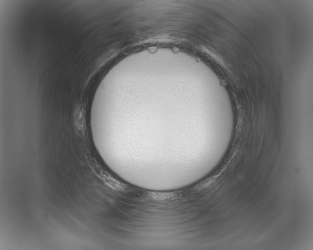X0000071911258200607070936