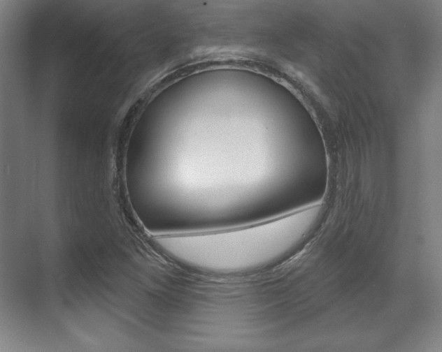 X0000071911261200607070936