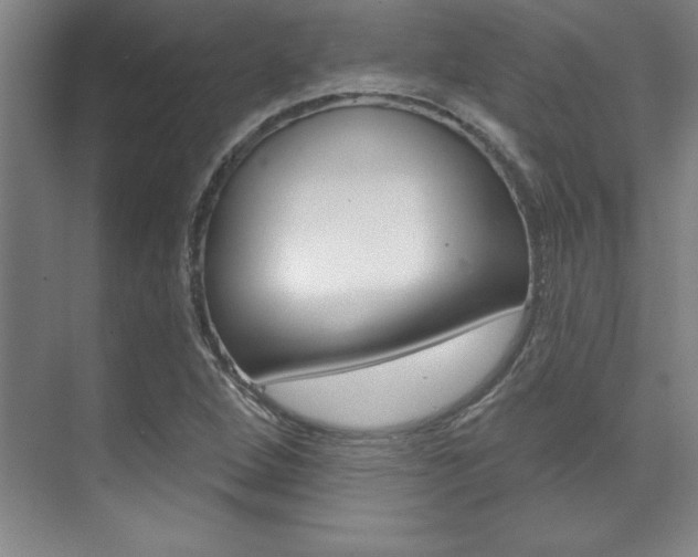 X0000071911264200607070936