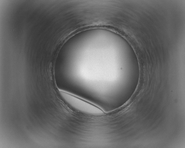 X0000071911265200607070936