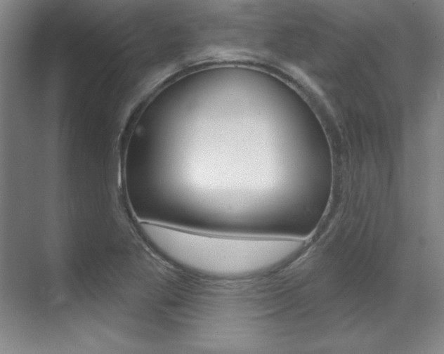 X0000071911269200607070936