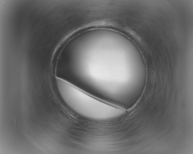 X0000071911270200607070936