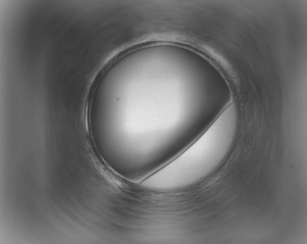 X0000071911272200607070936