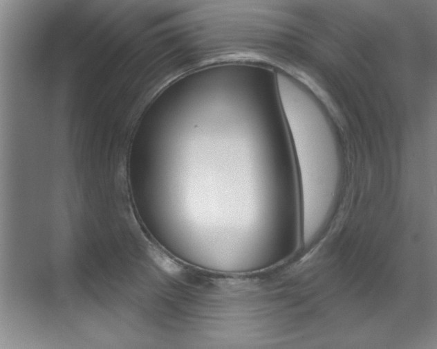 X0000071911281200607070936
