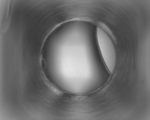 X0000071911284200607070935