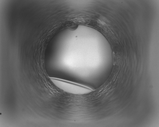 X0000071911297200607070934