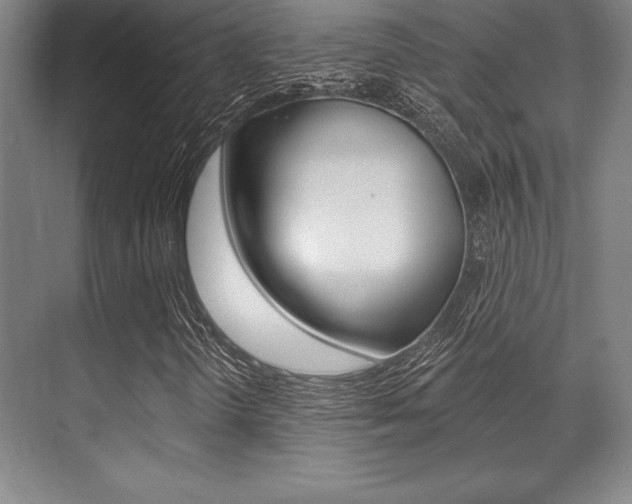 X0000071911298200607070934