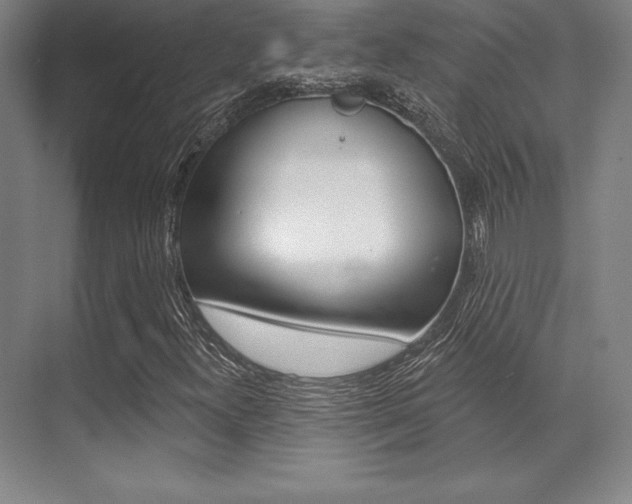X0000071911300200607070935