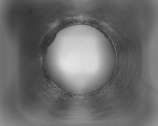 X0000071911302200607070935
