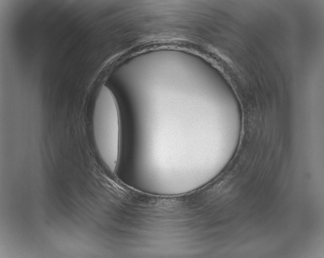 X0000071911306200607070935
