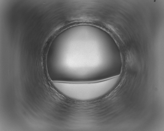 X0000071911307200607070935