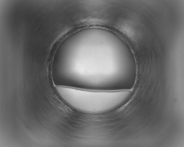 X0000071911309200607070935