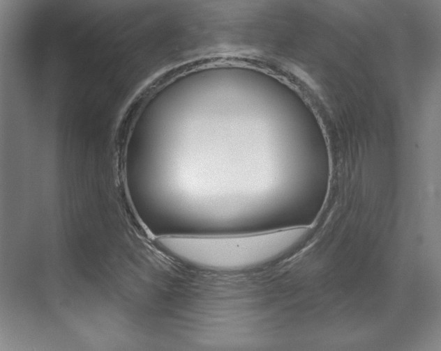 X0000071911310200607070935