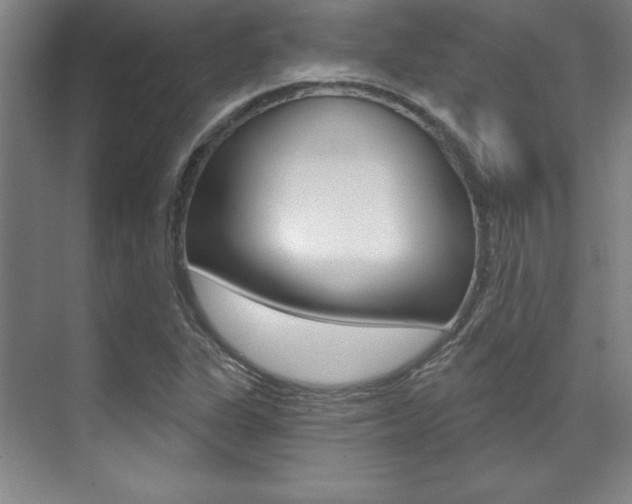 X0000071911311200607070935
