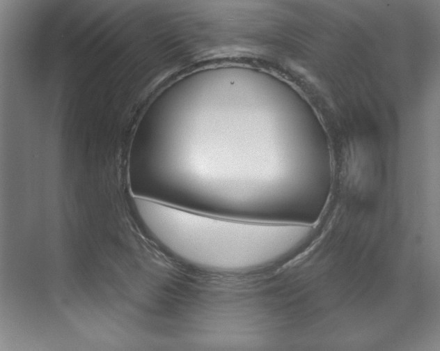 X0000071911313200607070935