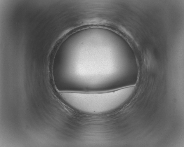 X0000071911315200607070935