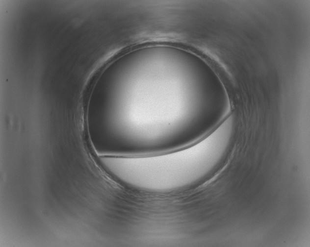 X0000071911317200607070935