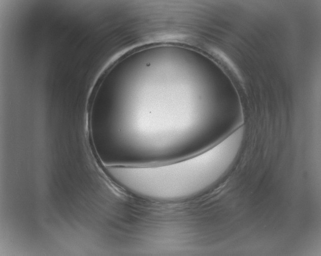 X0000071911324200607070935