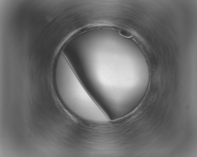 X0000071911325200607070935