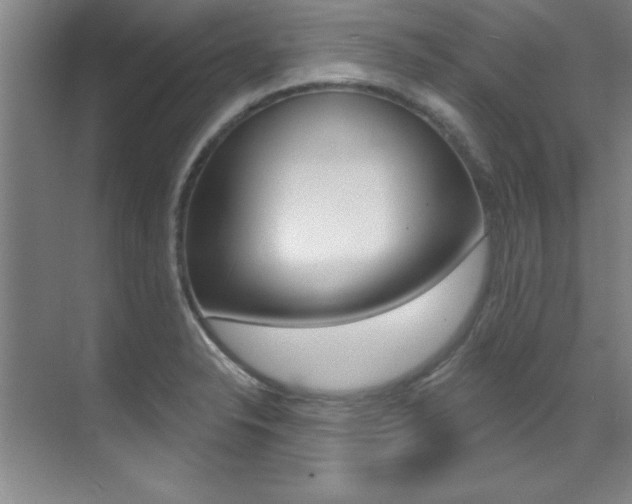 X0000071911326200607070935