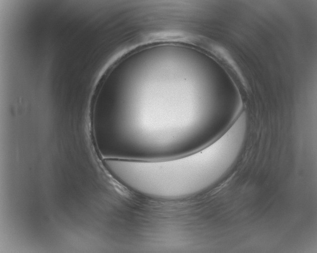 X0000071911328200607070935