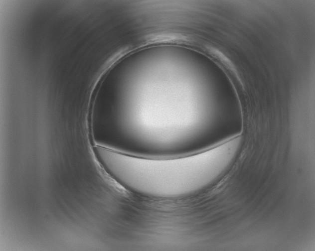 X0000071911330200607070935