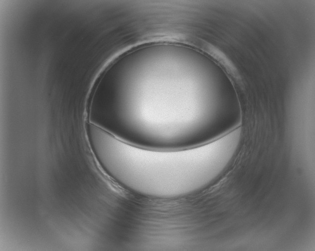X0000071911332200607070935