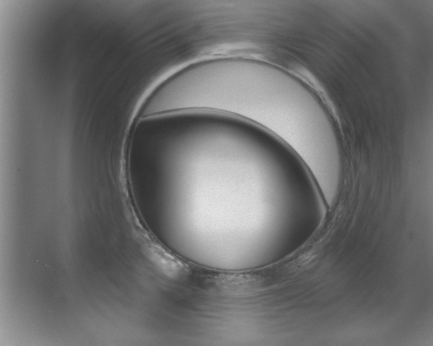 X0000071911336200607070935