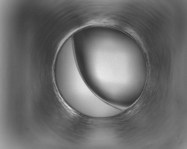 X0000071911344200607070935