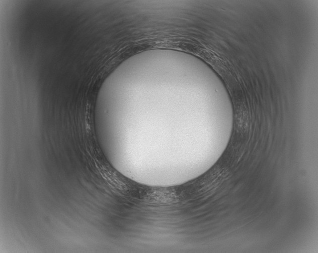 X0000071911346200607070934