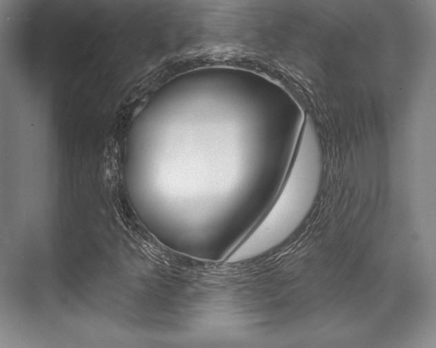 X0000071911349200607070934